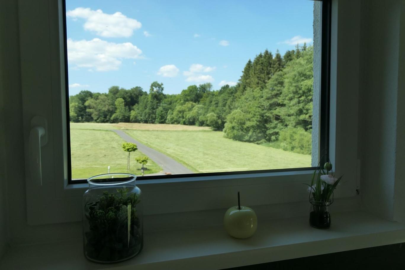 Fewo Hof Elbbachtal Westerburg  Phòng bức ảnh